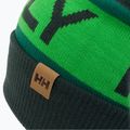 Helly Hansen Ridgeline kepurė žalia 67150_495 3