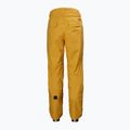 Helly Hansen vyriškos slidinėjimo kelnės Sogn Cargo yellow 65673_328 7