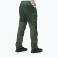 Helly Hansen vyriškos trekingo kelnės Vandre Tur green 62698_476 2