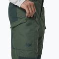 Helly Hansen vyriškos trekingo kelnės Vandre Tur green 62698_476 3