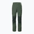 Helly Hansen vyriškos trekingo kelnės Vandre Tur green 62698_476 6