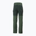 Helly Hansen vyriškos trekingo kelnės Vandre Tur green 62698_476 7