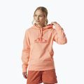 Moteriški džemperiai Helly Hansen Nord Graphic Pullover Hoodie orange 62981_058