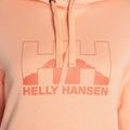 Moteriški džemperiai Helly Hansen Nord Graphic Pullover Hoodie orange 62981_058 7