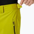 Helly Hansen Legendary Insulated bright moss vyriškos slidinėjimo kelnės 3