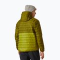 Vyriška pūkinė striukė Helly Hansen Banff Hooded Insulator bright moss 2