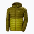 Vyriška pūkinė striukė Helly Hansen Banff Hooded Insulator bright moss 11