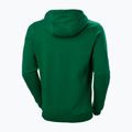 Vyriškas džemperis Helly Hansen F2F Organic Cotton Hoodie malachite 5