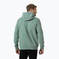 Vyriškas džemperis Helly Hansen HH Logo Hoodie cactus 2