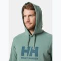 Vyriškas džemperis Helly Hansen HH Logo Hoodie cactus 3