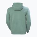 Vyriškas džemperis Helly Hansen HH Logo Hoodie cactus 6