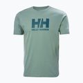 Vyriški marškinėliai Helly Hansen HH Logo cactus 4