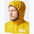 Vyriška buriavimo striukė Helly Hansen Salt Striped Windbreaker gold rush 3