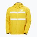 Vyriška buriavimo striukė Helly Hansen Salt Striped Windbreaker gold rush 5