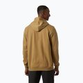 Vyriškas džemperis Helly Hansen Nord Graphic Pull Over Hoodie lynx 2