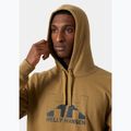 Vyriškas džemperis Helly Hansen Nord Graphic Pull Over Hoodie lynx 3