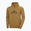 Vyriškas džemperis Helly Hansen Nord Graphic Pull Over Hoodie lynx 5