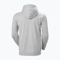 Vyriškas džemperis Helly Hansen Nord Graphic Pull Over Hoodie grey melang 2