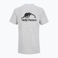 Vyriški marškinėliai Helly Hansen Nord Graphic grey melang 2