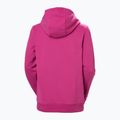 Moteriškas džemperis Helly Hansen HH Logo Hoodie 2.0 magenta 2.0 5