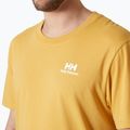 Vyriški marškinėliai Helly Hansen Nord Graphic sand 3