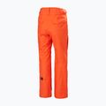 Vyriškos slidinėjimo kelnės Helly Hansen Sogn Cargo cherry tomato 2
