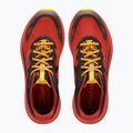 Vyriški bėgimo batai Helly Hansen Skyhawk Tr cherry tomato/black 13