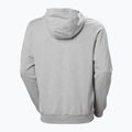 Vyriškas džemperis Helly Hansen HH Logo Full Zip Hoodie 2.0 grey/ melange 6