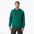 Vyriškas džemperis Helly Hansen HH Logo Hoodie 2.0 emerald