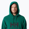 Vyriškas džemperis Helly Hansen HH Logo Hoodie 2.0 emerald 3