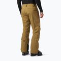 Vyriškos slidinėjimo kelnės Helly Hansen Legendary Insulated lynx 2