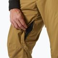 Vyriškos slidinėjimo kelnės Helly Hansen Legendary Insulated lynx 4