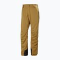 Vyriškos slidinėjimo kelnės Helly Hansen Legendary Insulated lynx 5