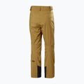 Vyriškos slidinėjimo kelnės Helly Hansen Legendary Insulated lynx 6
