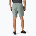 Vyriški buriavimo šortai Helly Hansen Hp Sirocco 9" grey cactus 2