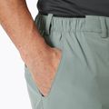 Vyriški buriavimo šortai Helly Hansen Hp Sirocco 9" grey cactus 3