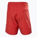 Vyriški maudymosi šortai Helly Hansen Newport Boardshorts 8" red 6
