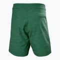 Vyriški maudymosi šortai Helly Hansen Newport Boardshorts 8" jungle green 6