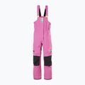 Moteriškos buriavimo kelnės Helly Hansen Pier 4.0 Bib meta pink 6