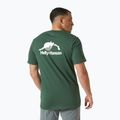 Vyriški marškinėliai Helly Hansen Nord Graphic jungle green 2