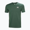 Vyriški marškinėliai Helly Hansen Nord Graphic jungle green 4