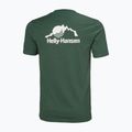 Vyriški marškinėliai Helly Hansen Nord Graphic jungle green 5