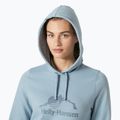 Moteriškas džemperis Helly Hansen Nord Graphic Pullover Hoodie windy blue 3