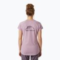 Moteriški marškinėliai Helly Hansen Nord Graphic Drop purple clay 2