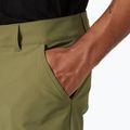 "Helly Hansen" vyriškos softshello kelnės "Brono Softshell Zip Off terrain green 3