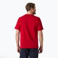 Vyriška striukė Helly Hansen Logo 3.0 red 2
