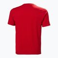 Vyriška striukė Helly Hansen Logo 3.0 red 5