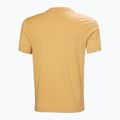 Vyriška striukė Helly Hansen Logo 3.0 sand 5