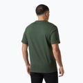 Vyriški marškinėliai Helly Hansen Box T 2.0 jungle green 2