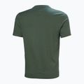 Vyriški marškinėliai Helly Hansen Box T 2.0 jungle green 5